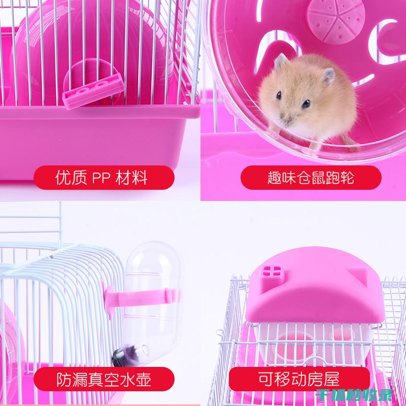 仓鼠笼清洁：如何在不影响宠物的情况下进行 (仓鼠笼清洁指南)